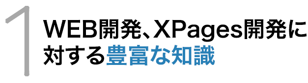 WEB開発、Notes/Domino・XPages開発に対する豊富な知識